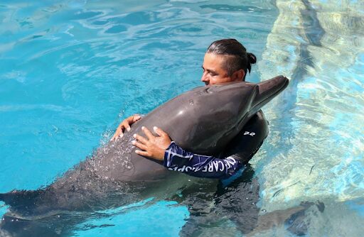 experience-the-magic-of-dolphin-connection-cancun