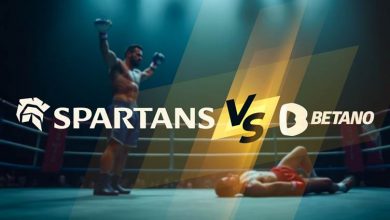 top-4-betting-sites-of-2025:-spartans,-hard-rock-bet,-stake.com-&-betano-compared