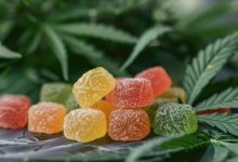 what-are-weed-gummies-and-how-to-eat-them?
