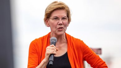 trump-eyes-$1.7t-student-loan-sell-off-as-warren-warns-of-‘giveaway-to-wealthy-insiders’-–-financial-freedom-countdown